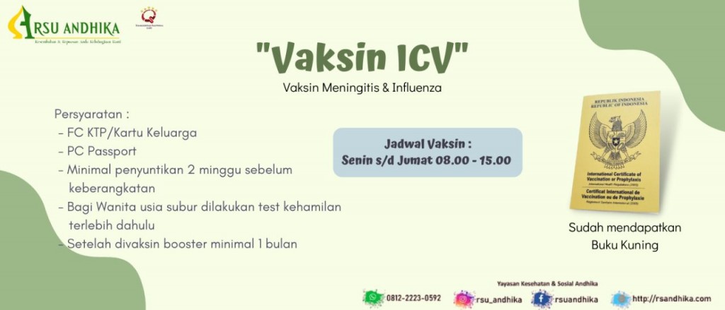 Vaskin ICV